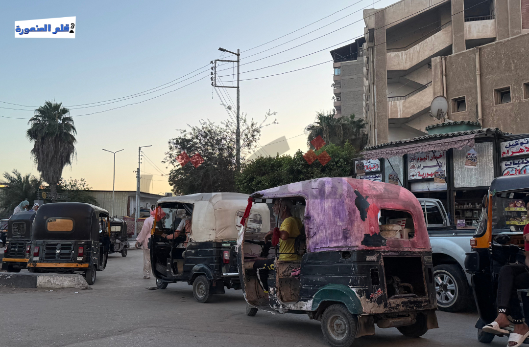 حملة إزالة مكبرات الصوت بالدقهلية