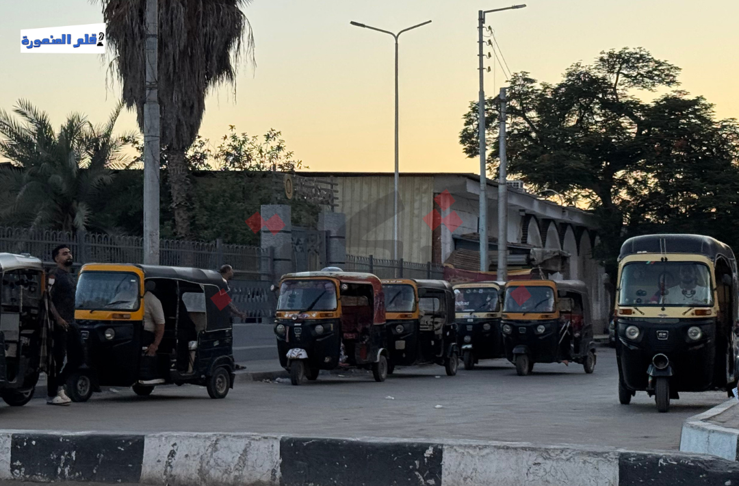 حملة إزالة مكبرات الصوت بالدقهلية