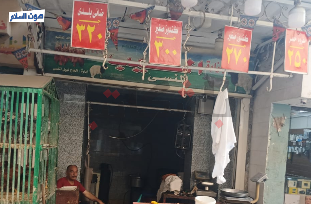 انخفاض أسعار الدواجن