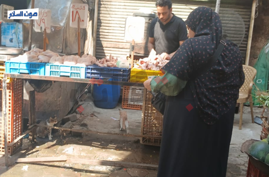 انخفاض أسعار الدواجن