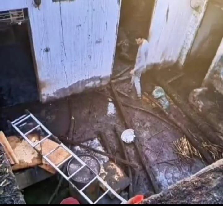 حرائق برخيل