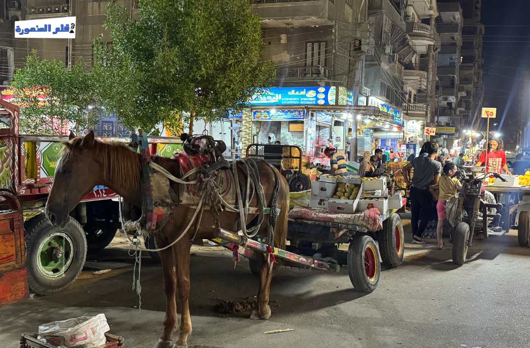 بائع جائل يفترش شارع الجلاء بالمنصورة
