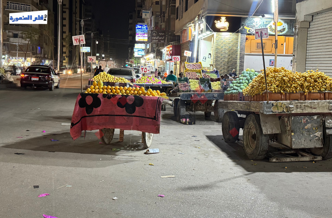 بائع جائل يفترش شارع الجلاء بالمنصورة