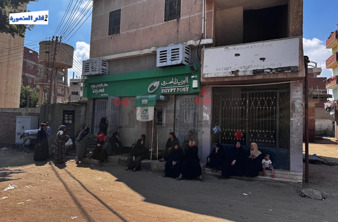 تحديث بيانات المعاشات