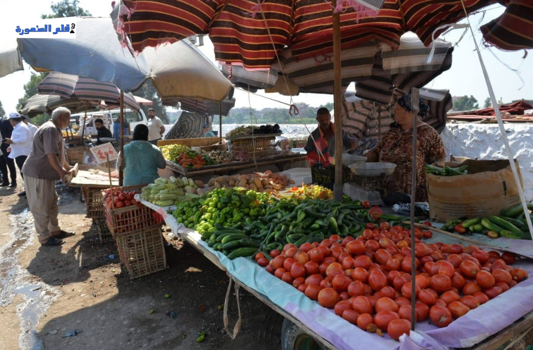 إزالة الإشغالات في ميت خميس