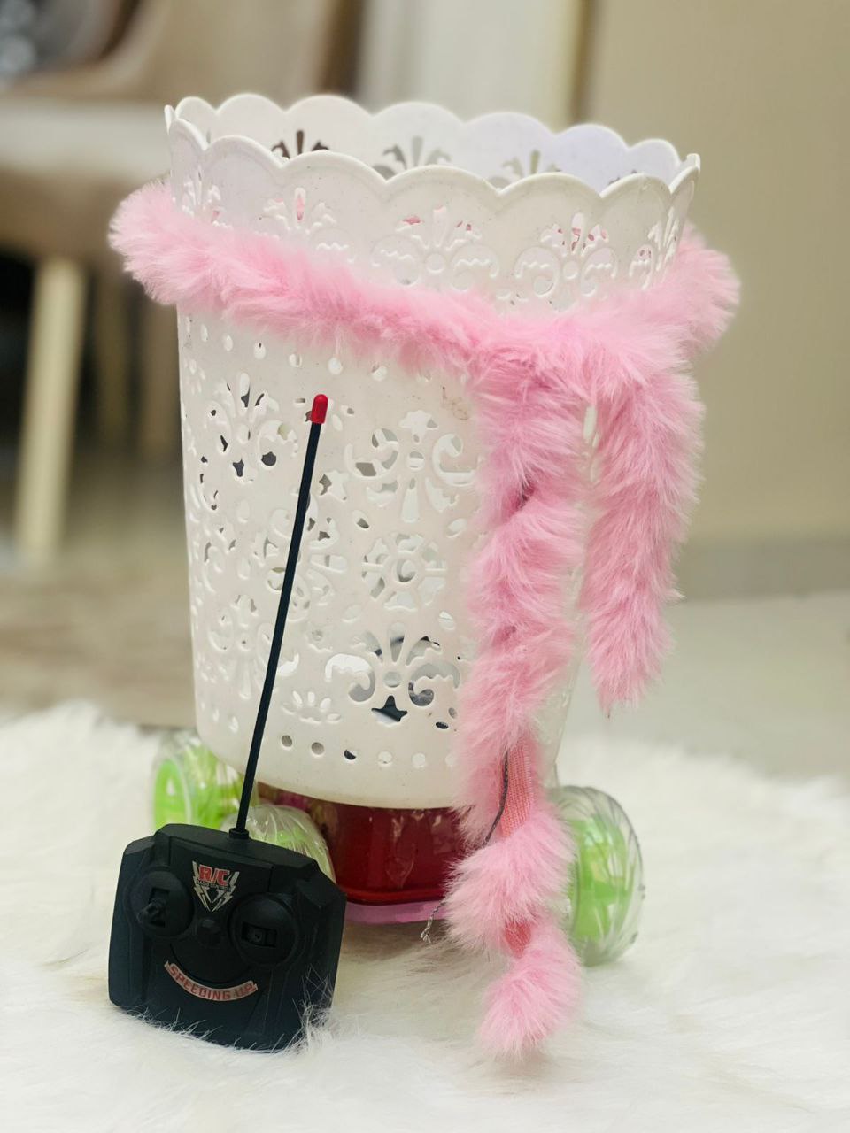 المخترعة الصغيرة كيلارستيا 