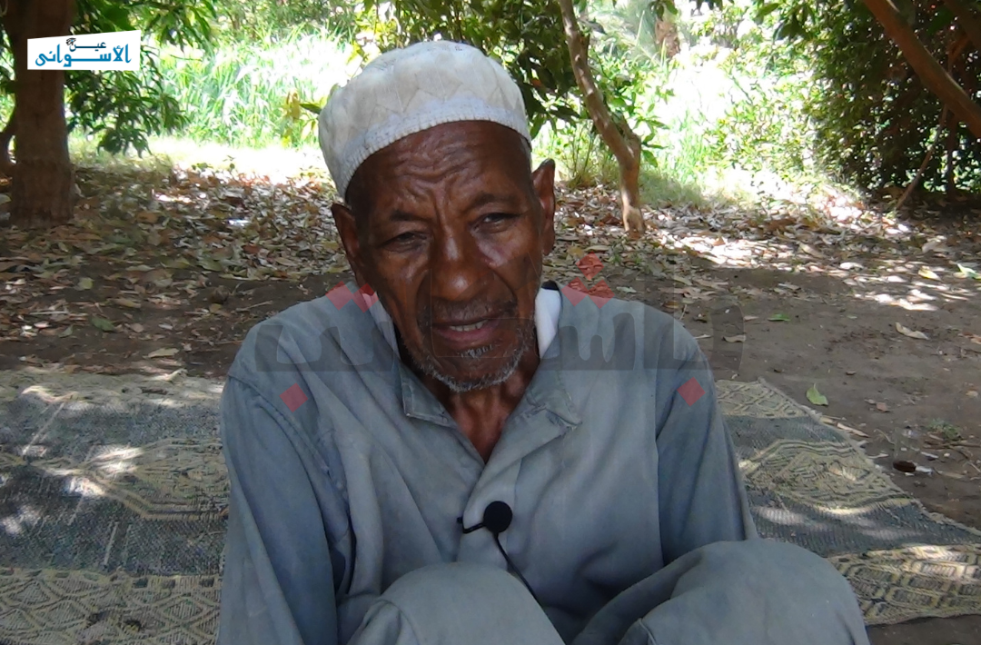 المانجو الأسواني والتغيرات المناخية