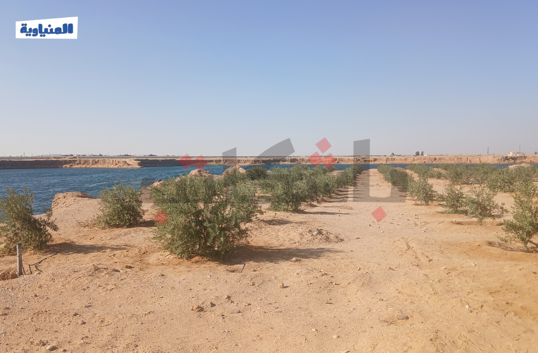 بحيرة البهنسا