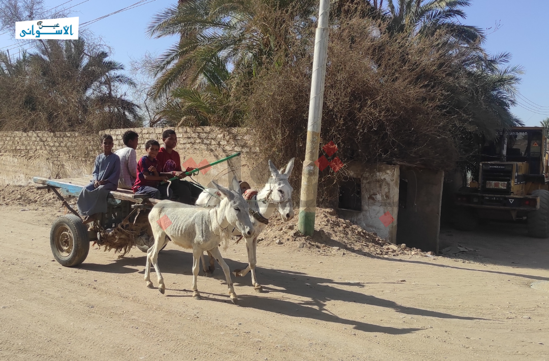 قرية قسطل النوبية