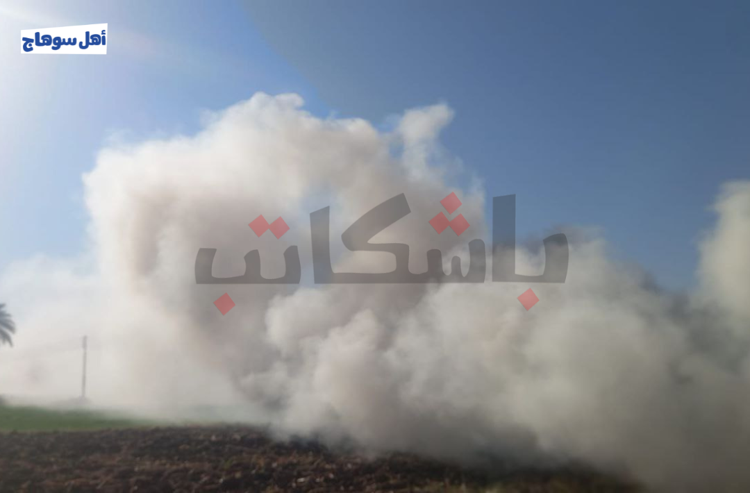 حرق البوص في محافظة سوهاج