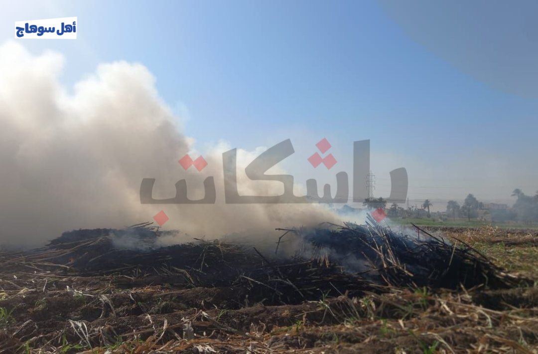 حرق البوص في محافظة سوهاج