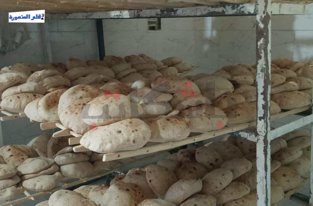 حصة الخبز كاملة