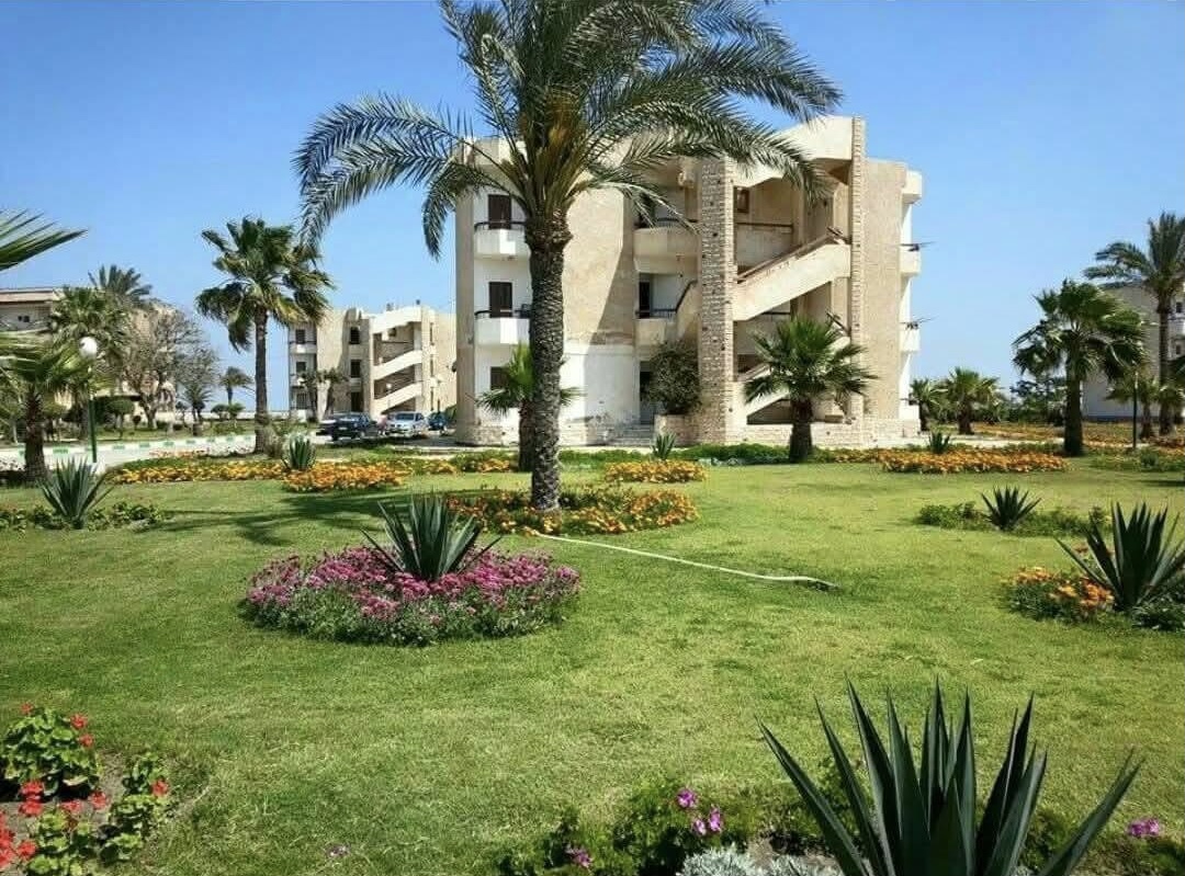 قرية الفردوس بمحافظة بورسعيد قبل الهدم