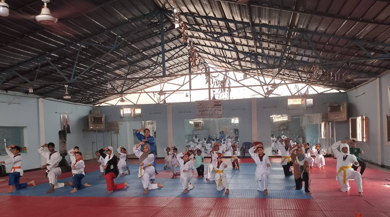 بطولة الجمهورية للتايكوندو