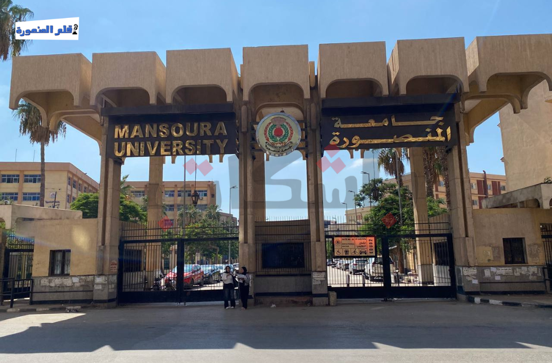 شهادة 14 طالبة بجامعة المنصورة ضد التحرش