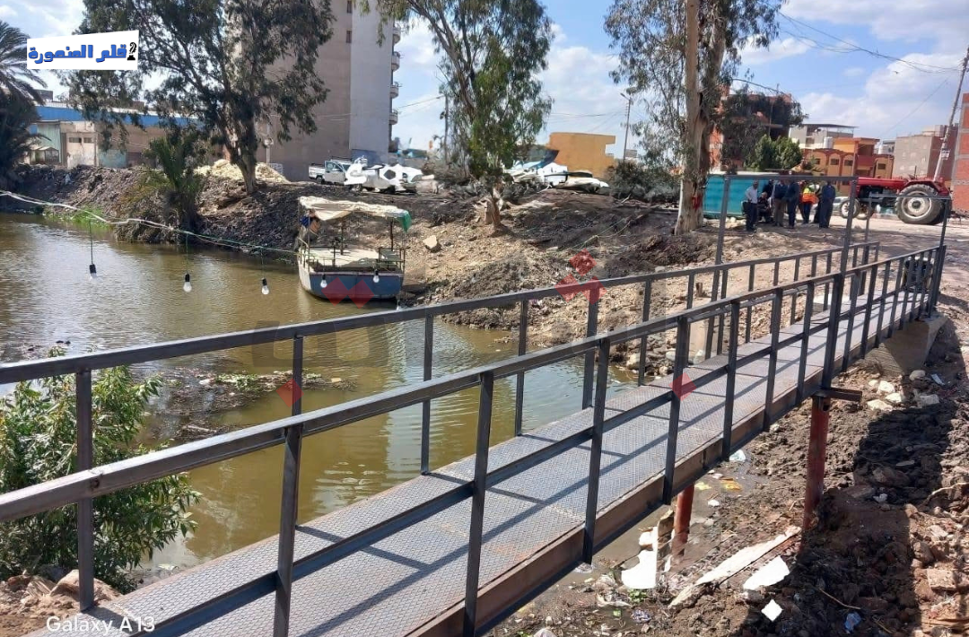 كوبري معلة بطلخا