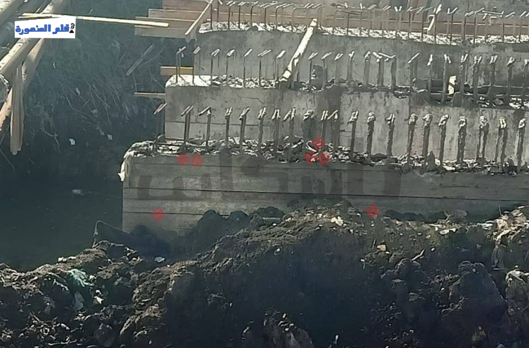 كوبري معلة بطلخا