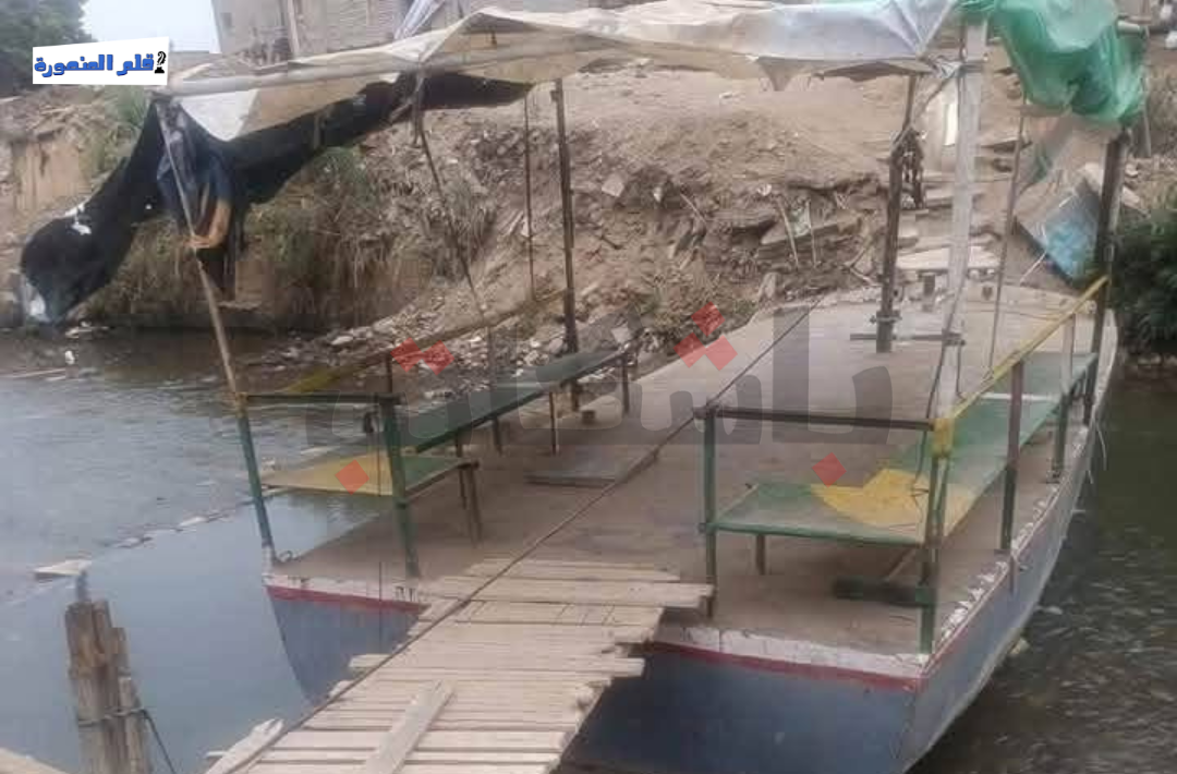 كوبري معلة بطلخا