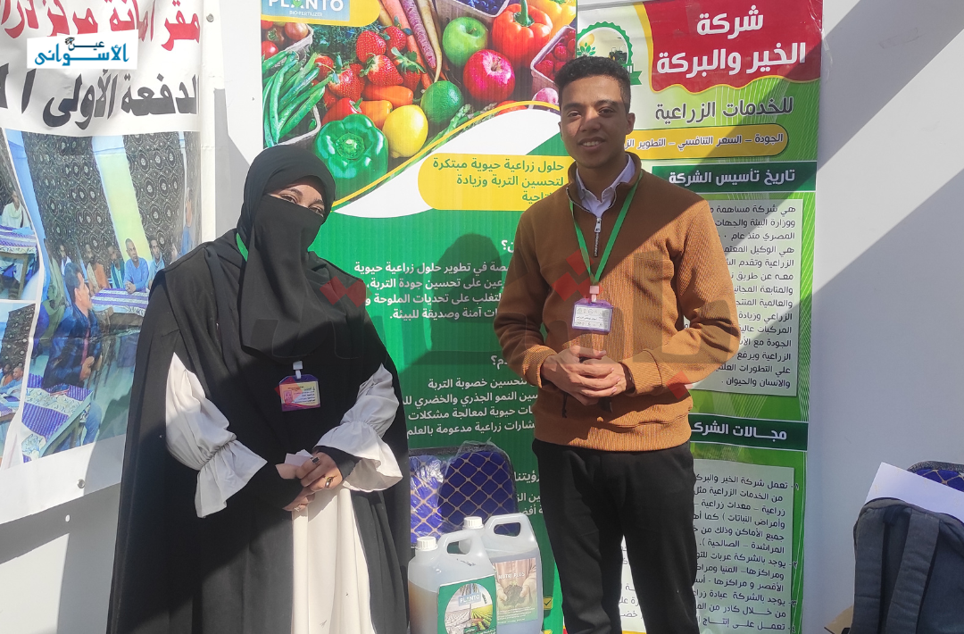 الأزولا وملوحة الأرض، إيمان حمدي