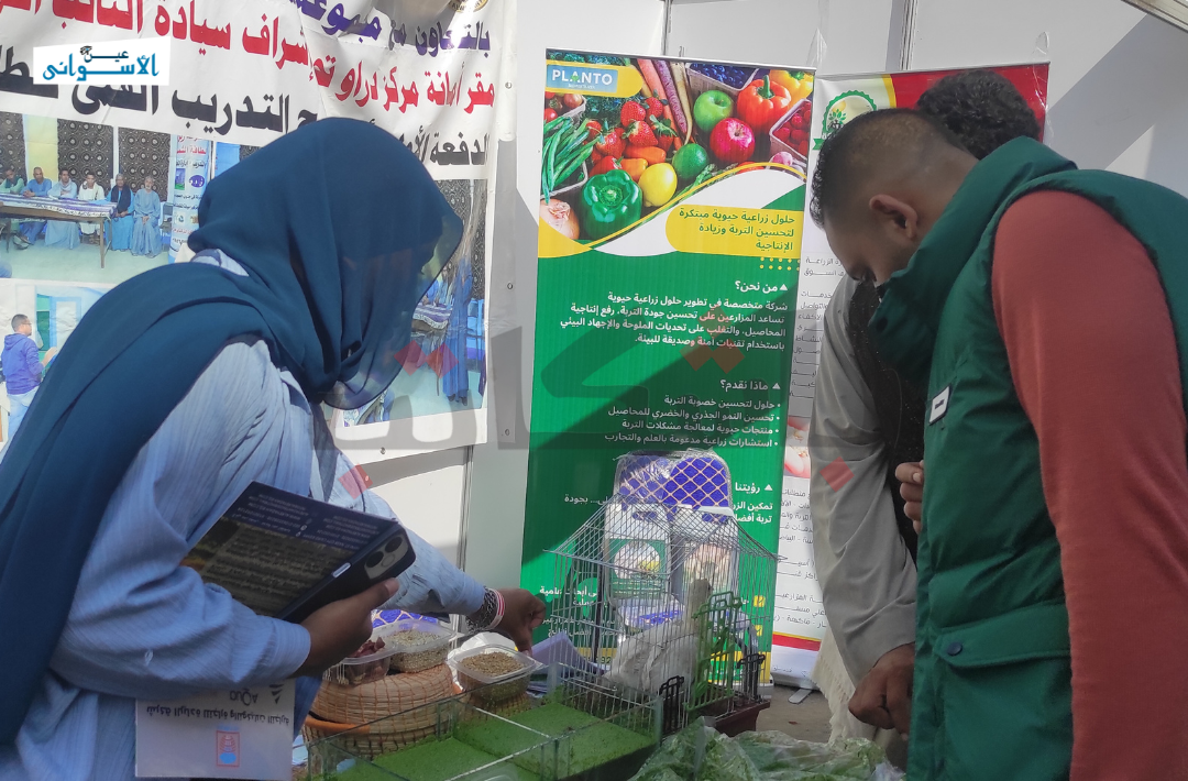 الأزولا وملوحة الأرض