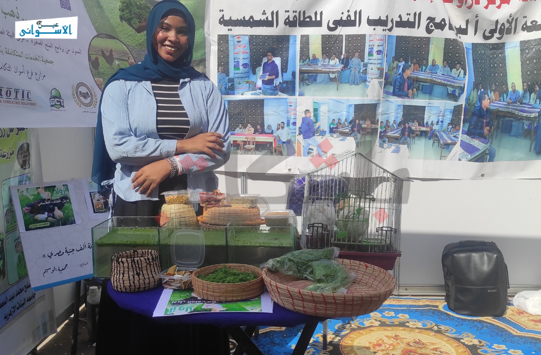 الأزولا وملوحة الأرض، أمينة مصلح