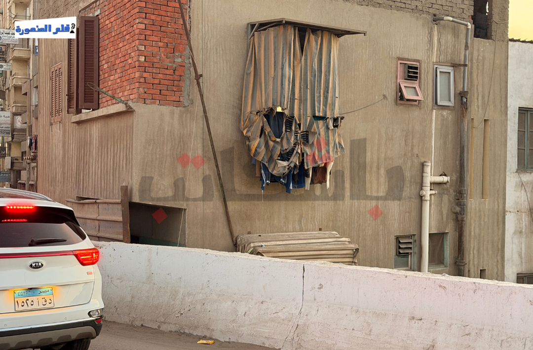 كيف أثرت كباري الدقهلية على سكانها؟