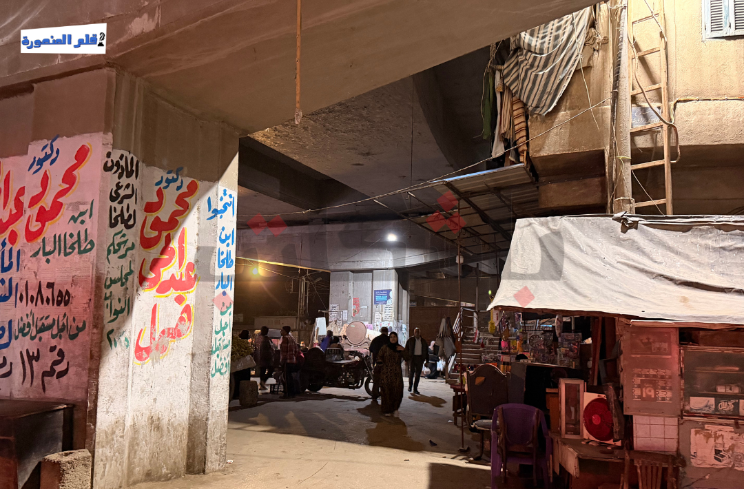 كيف أثرت كباري الدقهلية على سكانها؟