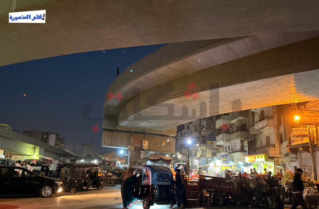 الحق في السكن الملائم بالدستور المصري.