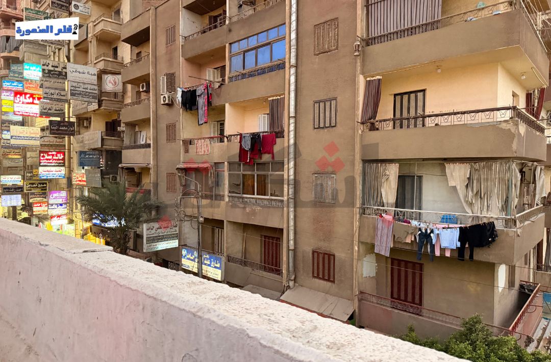 كيف أثرت كباري الدقهلية على سكانها؟