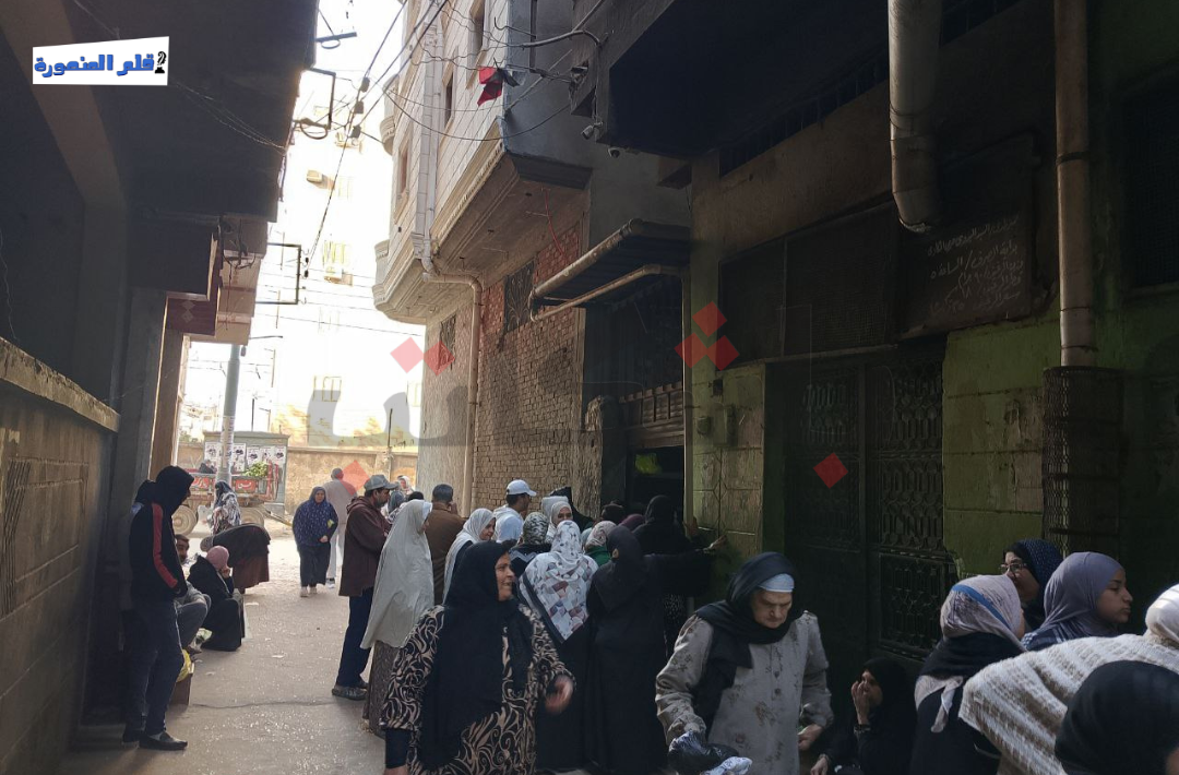 تعديل مواعيد المخابز بالدقهلية