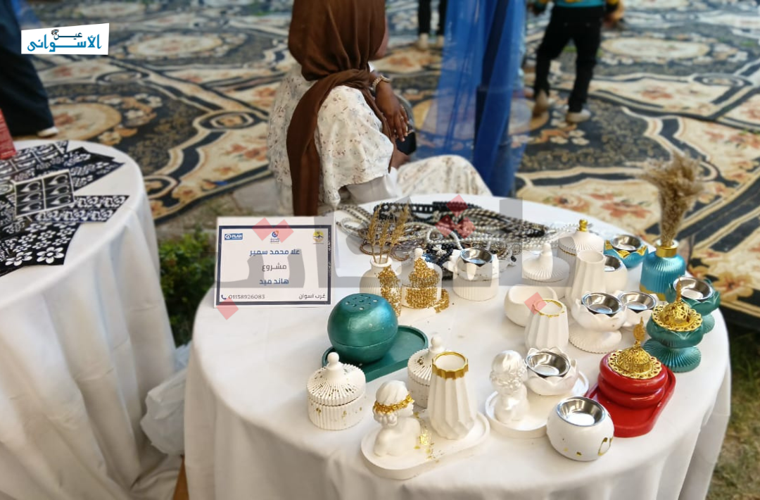 مشروع طريق المستقبل بأسوان