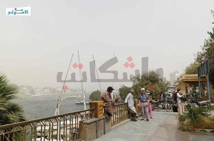 عواصف ترابية في أسوان (ألبوم صور)