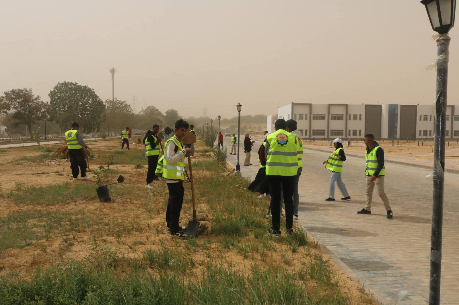 زراعة ألف شجرة داخل جامعة أسوان