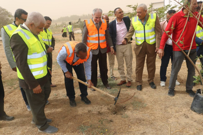 زراعة ألف شجرة داخل جامعة أسوان.. مصدر يكشف التفاصيل