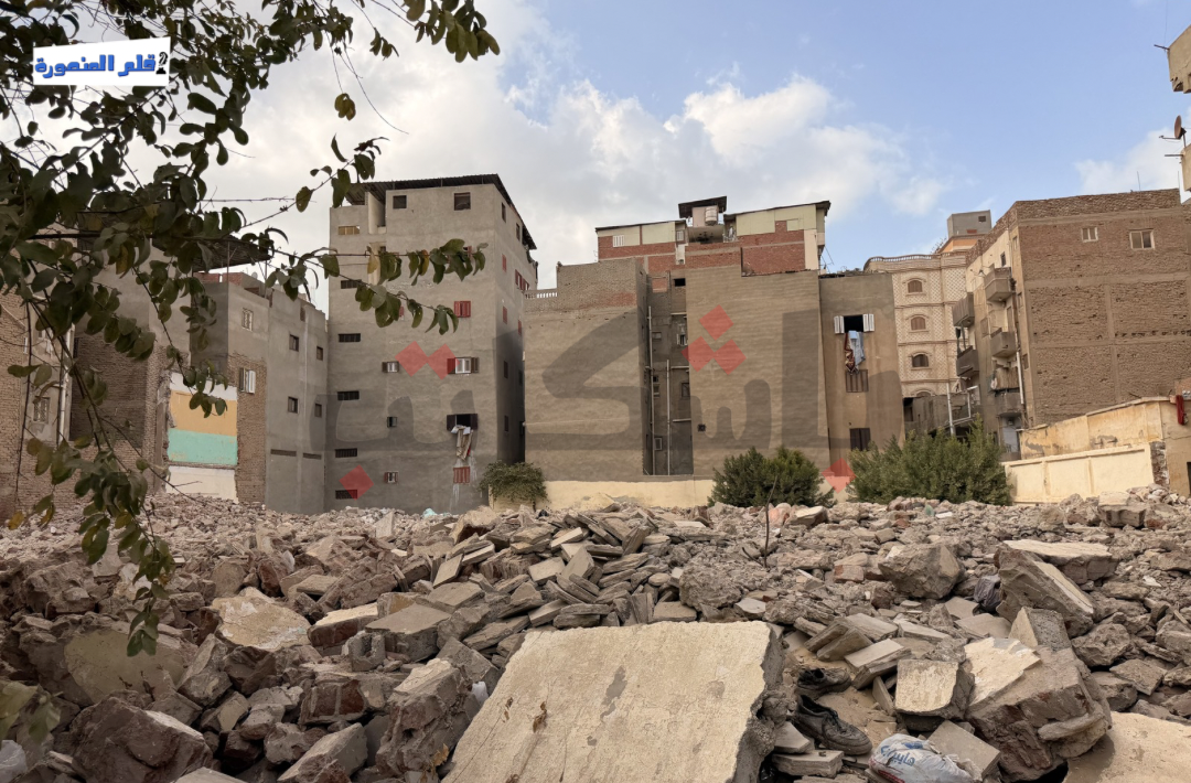  طلاب مدرسة مصطفى كامل بطلخا