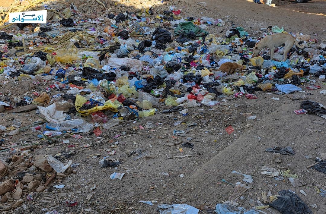 القمامة في منطقة خور عواضة بأسوان