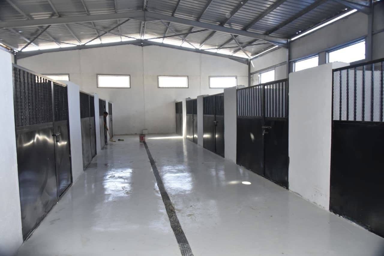 شلتر لإيواء الكلاب الضالة في بورسعيد