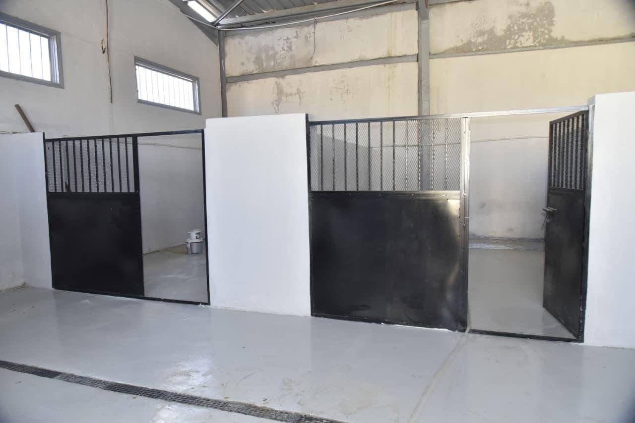 شلتر لإيواء الكلاب الضالة في بورسعيد