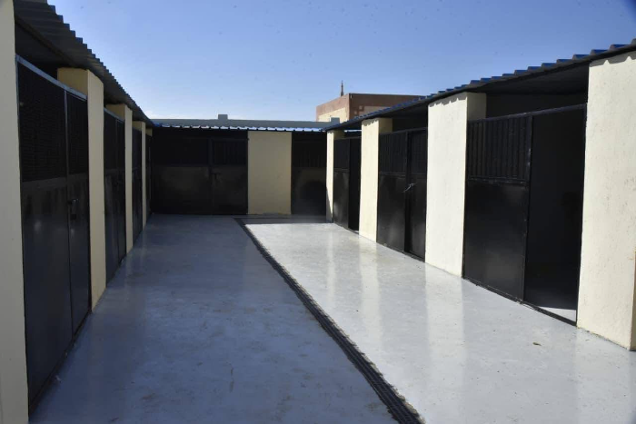 بعد حوادث عقر.. تفاصيل أول "شلتر" لإيواء الكلاب الضالة في بورسعيد