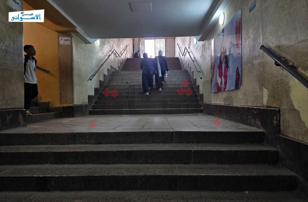 زيادة أسعار تذاكر قطارات أسوان