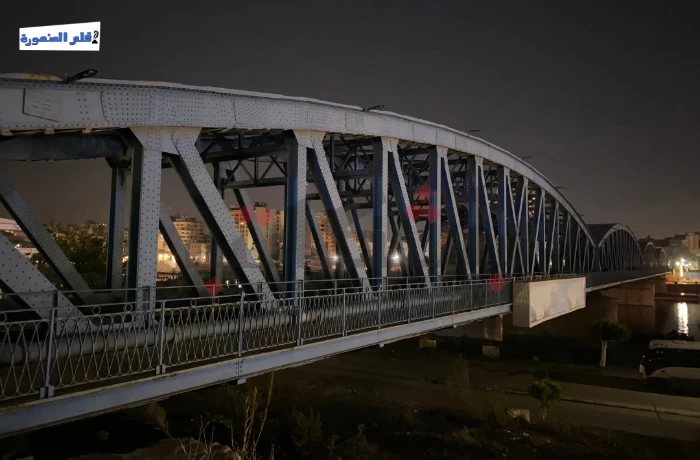 ليلًا على "الكوبري الأزرق" بالدقهلية.. ضعف الإنارة يهدد عبور المواطنين