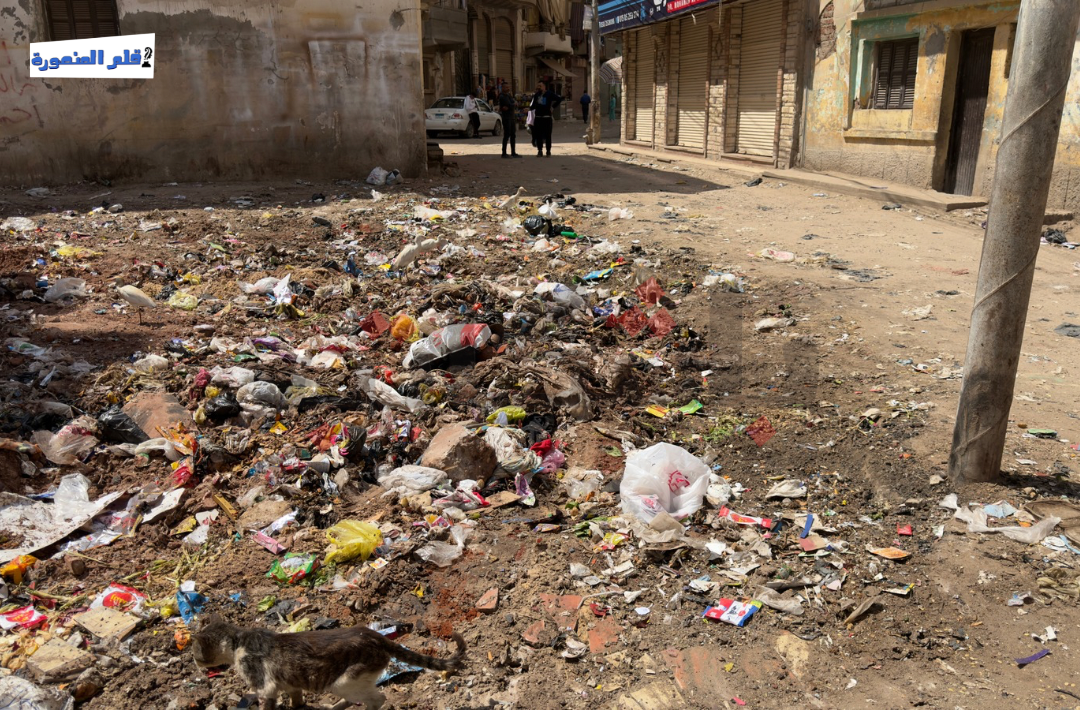 مساكن التعبئة في طلخا