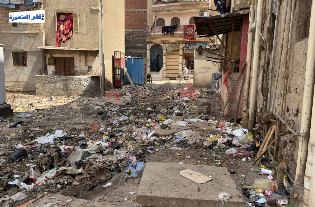 مساكن التعبئة في طلخا