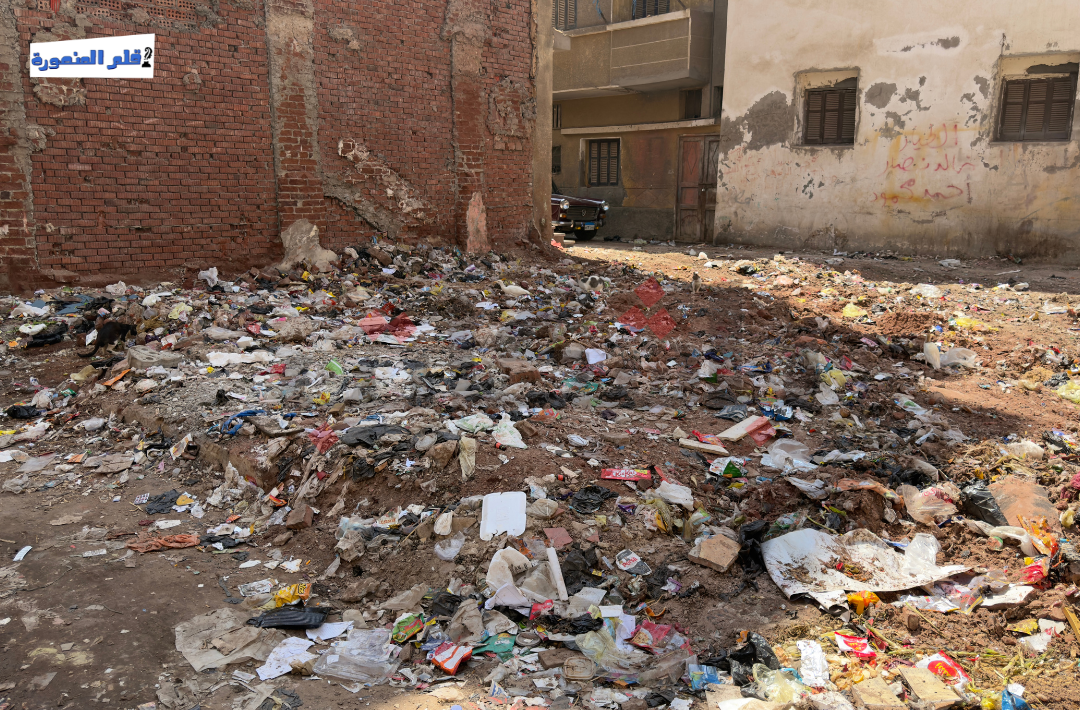 مساكن التعبئة في طلخا