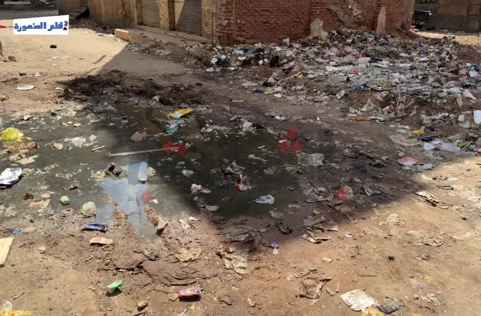 "منطقة منفّرة".. تراكم "الصرف" والقمامة بمساكن التعبئة في طلخا