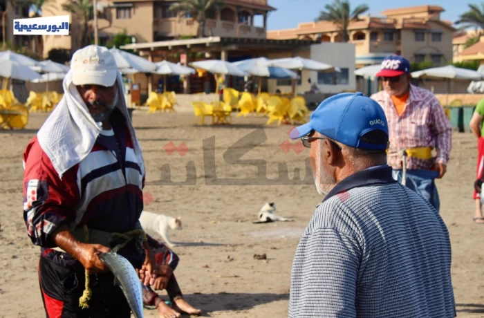 "مش هنموت من غيره".. ارتفاع السردين إلى 350 جنيهًا قبل شم النسيم