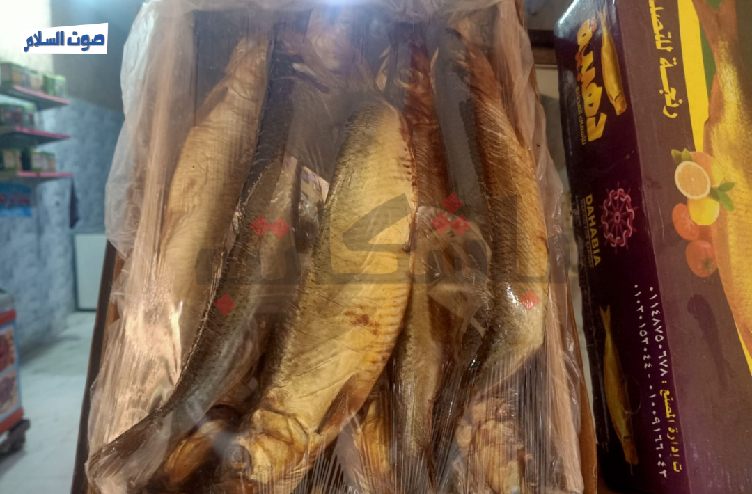 الاحتفال بشم النسيم في دار السلام