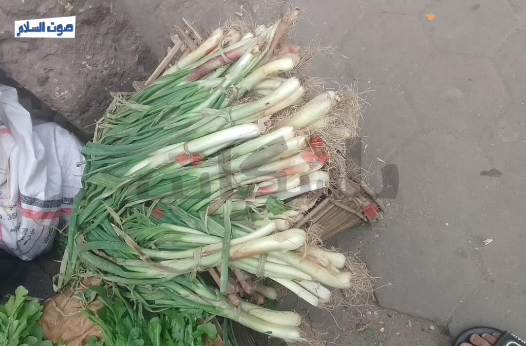 الاحتفال بشم النسيم في دار السلام