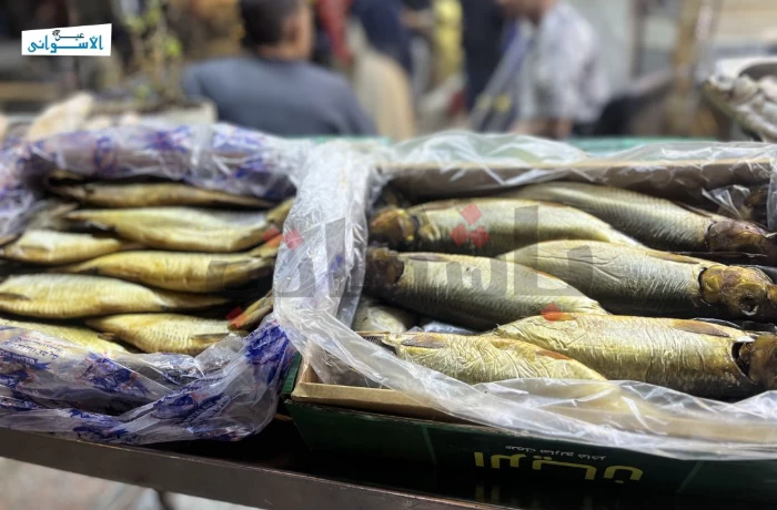انتعاش حركة شراء الأسماك المملحة في أسوان (ألبوم صور)