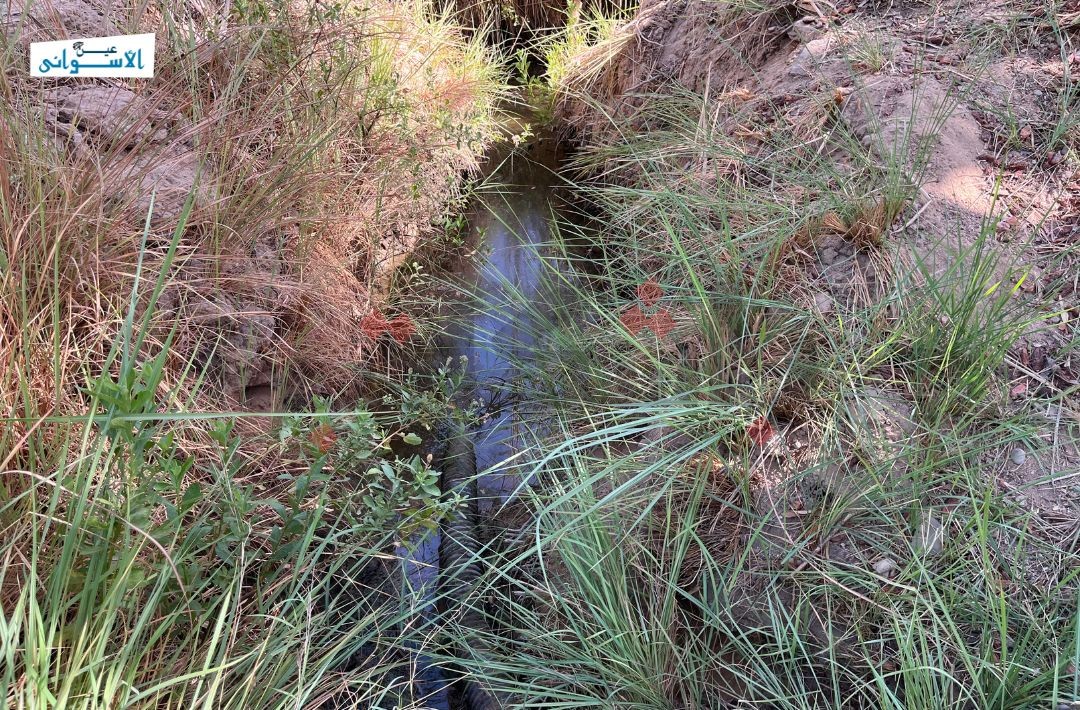 نقص السولار خلال حصاد القمح